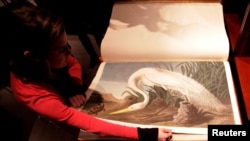 FILE - A Sotheby's employee turns a page of John James Audubon's "Birds of America," at Sotheby's in London, Dec. 6, 2010. 