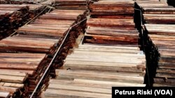 Sejumlah kayu merbau ilegal yang sudah berbentuk gergajian diamankan Gakkum KLHK sambil menunggu proses hukum berlangsung. (Foto: VOA/Petrus Riski)
