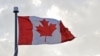 Гражданка Канады признала вину в деле о нарушении антироссийских санкций