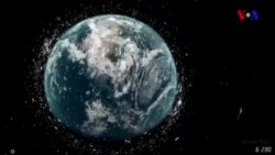 Dünyaya Baxış - 28 aprel 2017