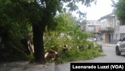 Por lo menos 17 heridos, uno de gravedad, y daños generalizdos es el saldo de una fuerte tormenta que azotó Montevideo, Uruguay, el martes, 3 de enero, de 2017.