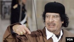 Pemerintah AS membekukan semua aset milik keluarga Moammar Gaddafi.