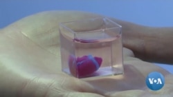 Human Tissue Used to Create 3D Printed Heart