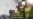 16x9 Image