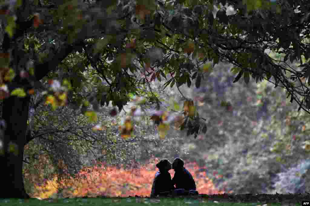 A couple kisses beneath a tree in St. James&#39;s Park in London.