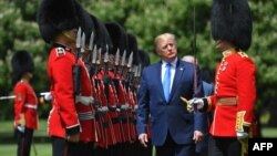 2019年6月3日特朗普在伦敦市中心白金汉宫举行的欢迎仪式上检阅仪仗队
