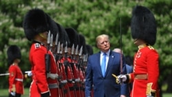 Le président Donald Trump en visite d'Etat au Royaume-Uni