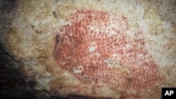 This photo provided by researcher Carole Fritz in February 2021 a prehistoric wall painting depicting a bison, in a French cave discovered in 1931. Using modern microscopy techniques to examine how a conch shell found at the site was modified and hiring a