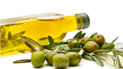 Quiz - Olive Oil May Protect Our Brain