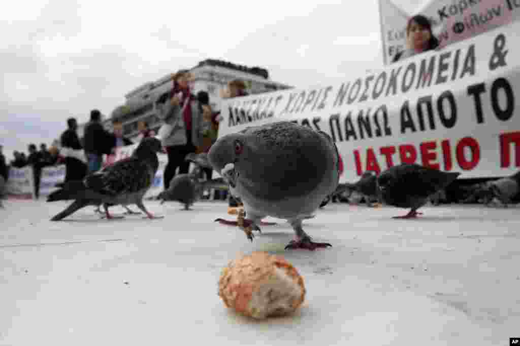 A pigeon eyes a piece of bread outside the Greek Parliament, as anti-austerity protesters hold up banners in Athens, Greece. 