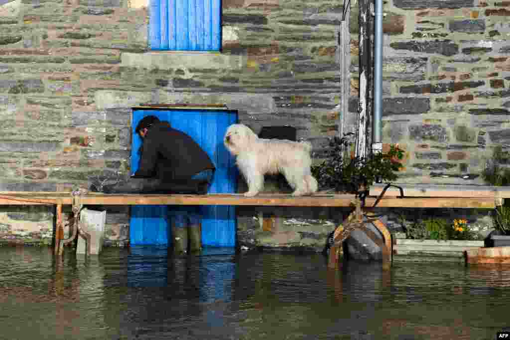 A man checks the door of a house next to a dog standing on a footbridge over the flooded streets on the center of Guipry-Messac, western France, after La Vilaine River bursts its banks due to heavy rains.