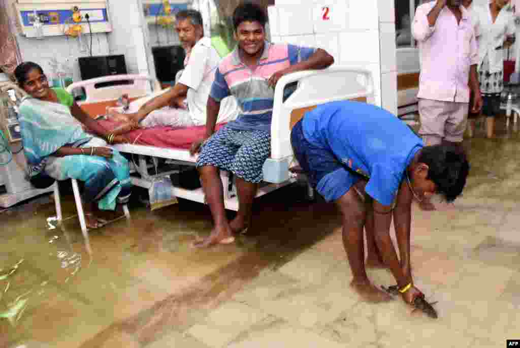 A patient&#39;s relative catches a fish inside a waterlogged hospital ward at Nalanda Medical College and Hospital (NMCH) following heavy monsoon rains in Patna in the Indian state of Bihar, July 29, 2018.