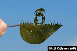 Japanese leaf-cutting artist, who goes by the name Lito, holds his freshly cut work featuring a frog with an umbrella, in Tokyo Wednesday, Nov. 27, 2024. (AP Photo/Shuji Kajiyama)