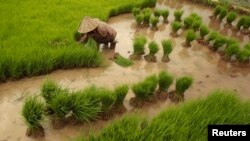 [지구촌 돋보기] 인도네시아 (1)