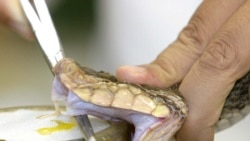 VOA Asia - Healthy Living UMN 20190716