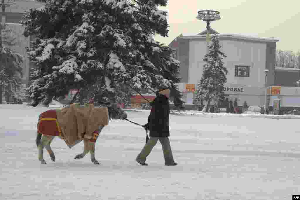 Призраки ВДНХ