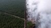 Kebakaran hutan dekat perkebunan kelapa sawit di kecamatan Kumpeh Ulu, Kabupaten Muaro Jambi, 30 Juli 2019. (Foto: Antara via Reuters)