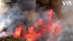 Tasuma Cieni non California Marala USA qui a débuté le vendredi 31 juillet et a depuis brûlé plus de 20 000 acres.