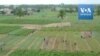 Agriculteurs et commerçants mécontents de la fermeture entre le Bénin et le Nigeria