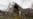 New Zealand to Rebuild Quake-damaged Christchurch Cathedral