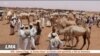 Les nomades soudanais, loin de la révolution