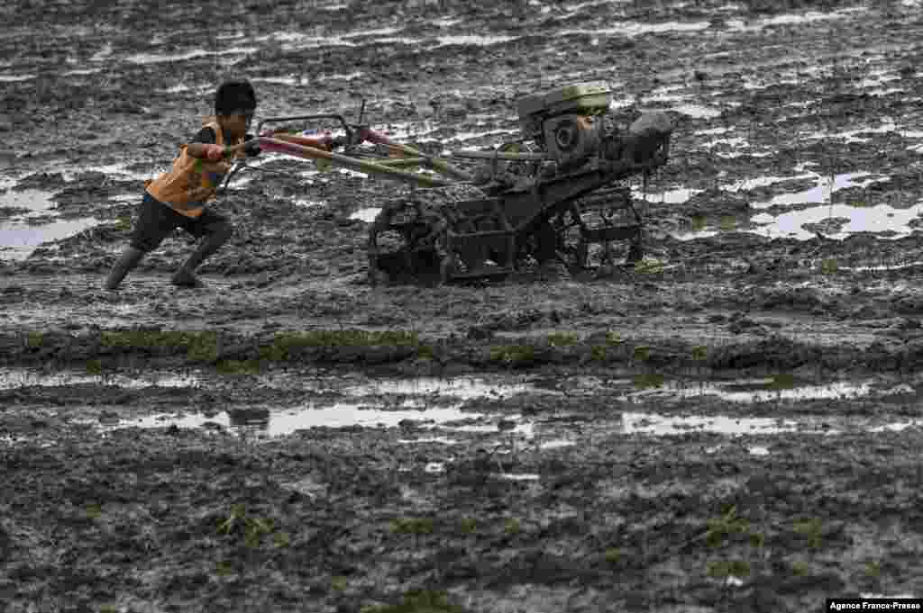 Seorang anak menggunakan traktor tangan untuk membajak sawah di Nisam, Provinsi Aceh Utara, Kamis 13 Januari 2022. (Foto: Chaideer Mahyuddin / AFP)