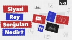 Siyasi rəy sorğuları nədir?