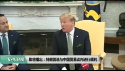 美国观察 2019年3月15日