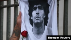 Un aficionado lamenta la muerte de Maradona colocando una rosa frente a un retrato del astro argentino expuesto en la plaza del Obelisco, en Buenos Aires, el 25 de noviembre de 2020.