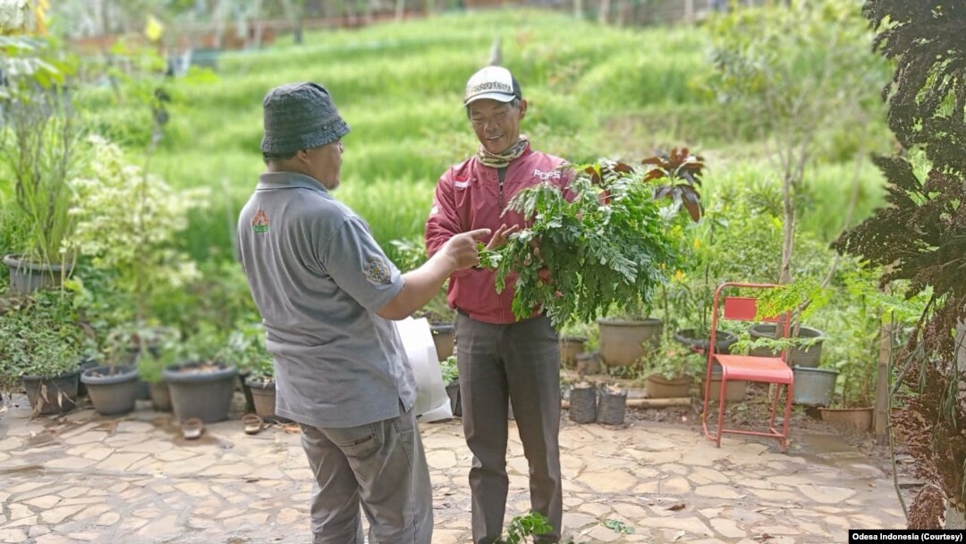Pengurus Odesa, Enton Supriyatna, membagikan kelor dan sembako kepada pekerja harian, Sabtu (11/4). (Foto: Courtesy/Odesa Indonesia)