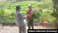 Pengurus Odesa, Enton Supriyatna, membagikan kelor dan sembako kepada pekerja harian, Sabtu (11/4). (Foto: Courtesy/Odesa Indonesia)