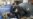 3 Arrested in Russian Airport Bombing