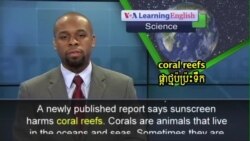 Is Sunscreen Killing Coral Reefs?