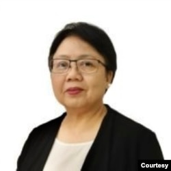 Prof. Dr. Ani Soetjipto, Guru Besar Ilmu Gender dan HAM dalam Hubungan Internasional di FISIP UI. (Courtesy : Pribadi)