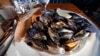 Scientists Find Opioids, Antibiotics in Puget Sound Mussels