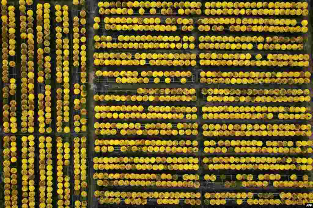 This aerial photograph shows flowers in a field at the Sa Dec flower village, the largest flower supplier in southern Vietnam&#39;s Mekong Delta region.