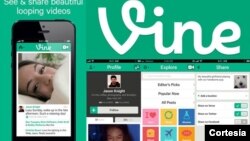 Vine es una de las aplicaciones más populares entre quienes disfrutan de desarrollar proyectos de video en tan solo seis segundos.