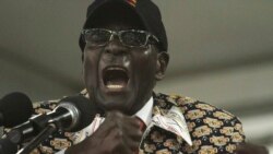 Report on Mugabe Holiday Criticism Filed By Irwin Chifera