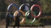 Mounting Threats Against Sochi Olympics Worry Terrorism Experts