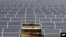 An Indian security guard walks among solar panels at the newly inaugurated solar photovoltaic power plant at Khadoda, in Sabarkantha district, about 90 kilometers (56 miles) from Ahmadabad, India, Friday, June 10, 2011