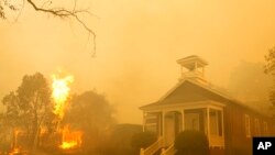 California Yangınları Can Alıyor 