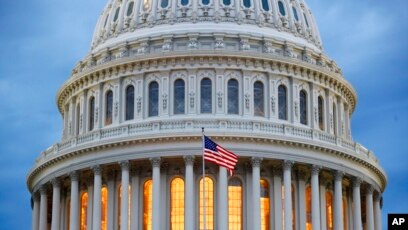 American Senate