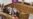 16x9 Image