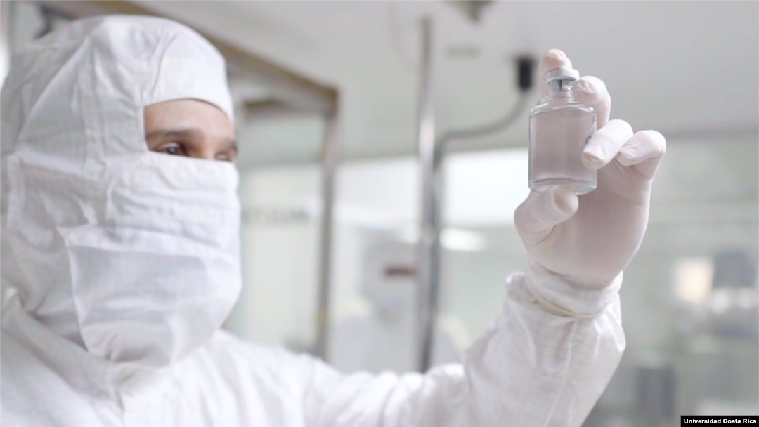 ARCHIVO - Científicos de Costa Rica lograron desarrollar un suero equino que inhibe la capacidad infecciosa del SARS-CoV-2.