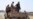 Officials in Yemen: Houthi Blockade Restricts Aid, Movement