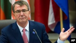 Defense Secretary Ash Carter, Washington, D.C., July 20, 2016.