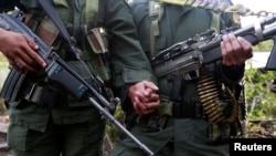 FILE - A couple from the 51st Front of the Revolutionary Armed Forces of Colombia (FARC) pose for the camera at a camp in Cordillera Oriental, Colombia, Aug. 16, 2016.