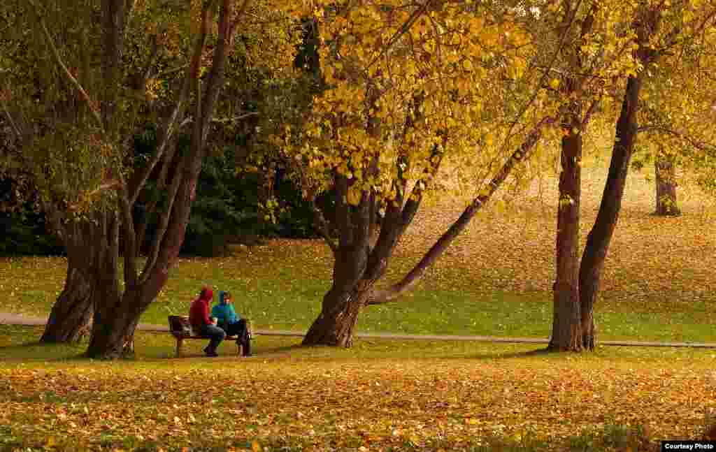 Fall colors in Confederation Park in Calgary, Alberta, Canada (Photo taken by Cuong Pham/Canada/VOA reader)
