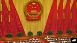 中国人大代表出席全国人大会议(资料照片)