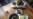 16x9 Image